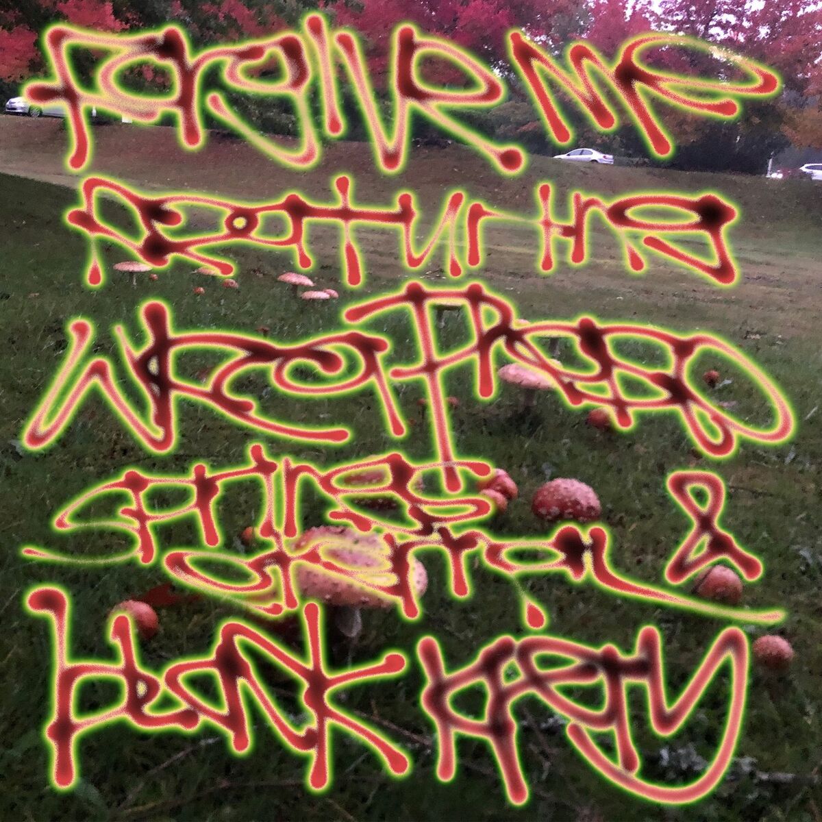 Album cover of Forgive Me