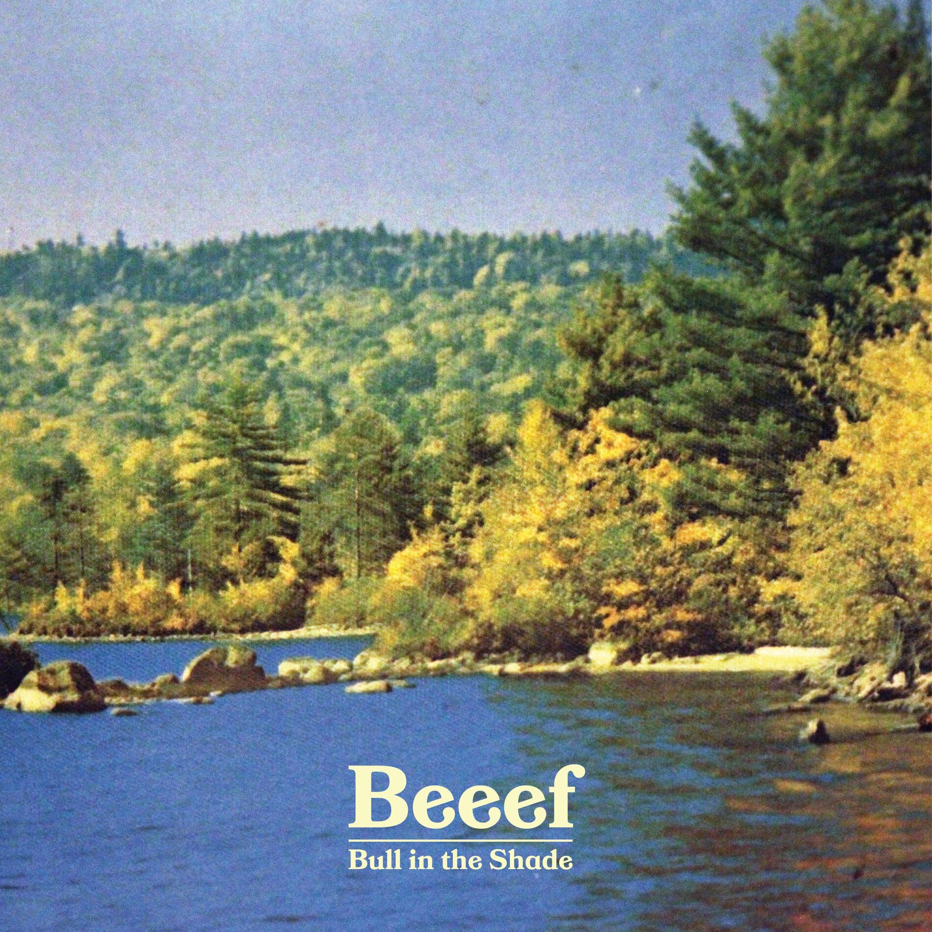 Album cover of Bull in the Shade
