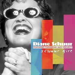 Cover of Schuur Fire