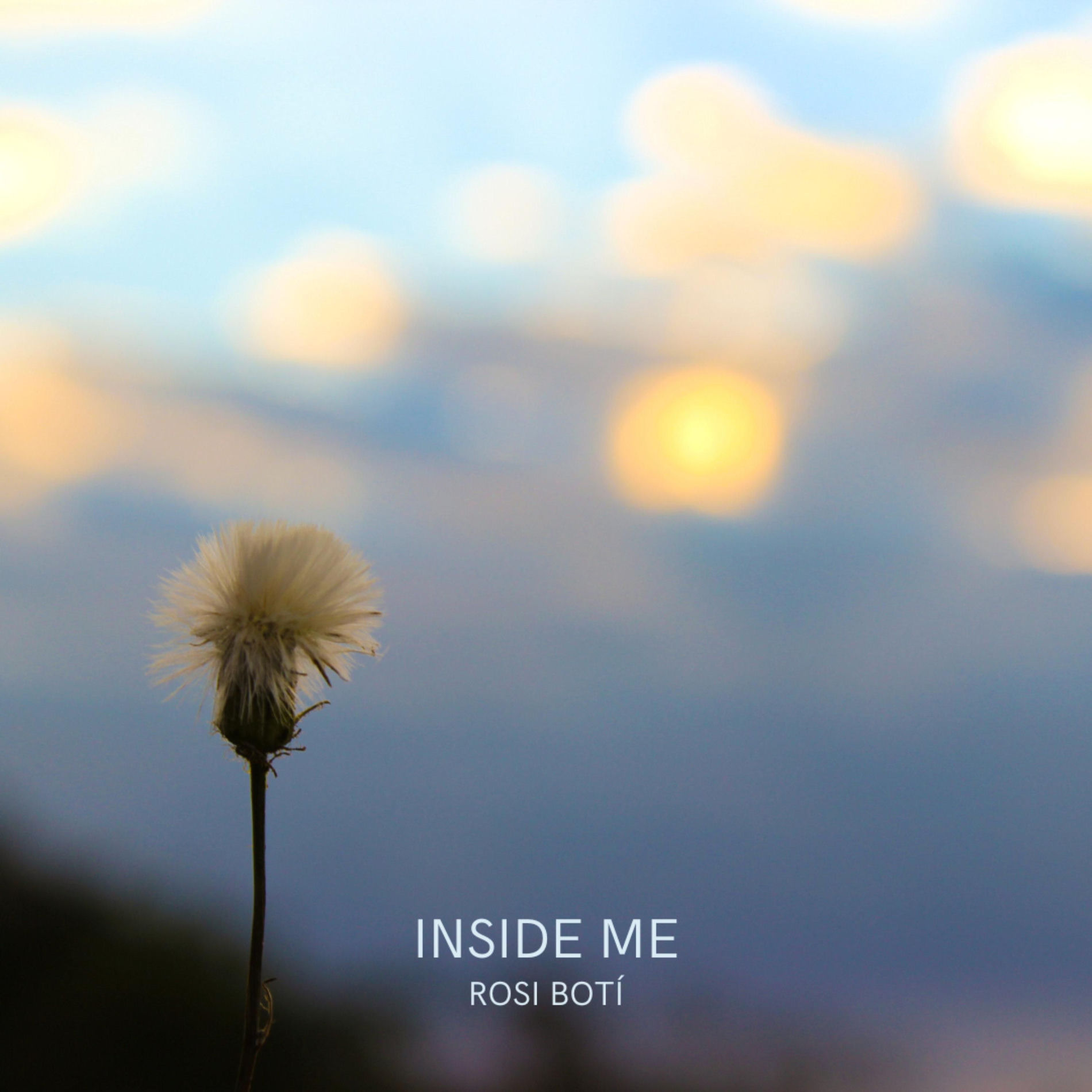 Album cover of Inside Me