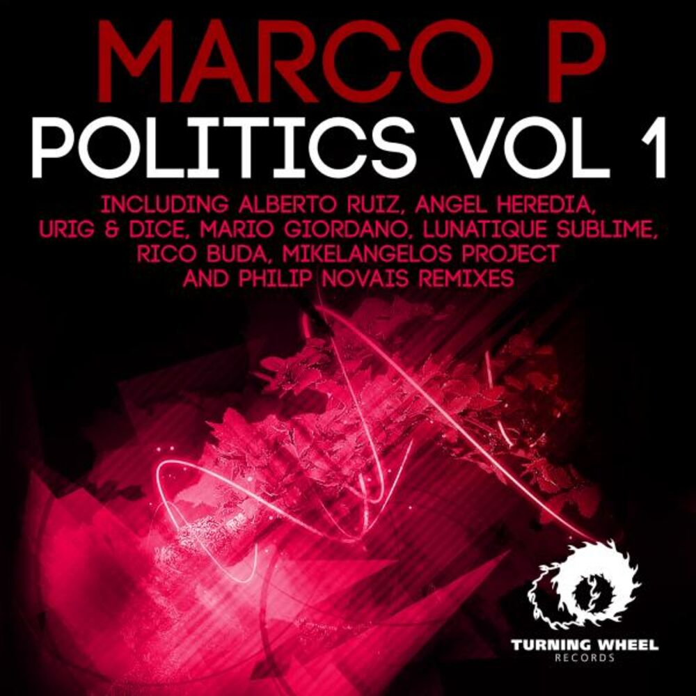 Picture of Politics, Vol. 1