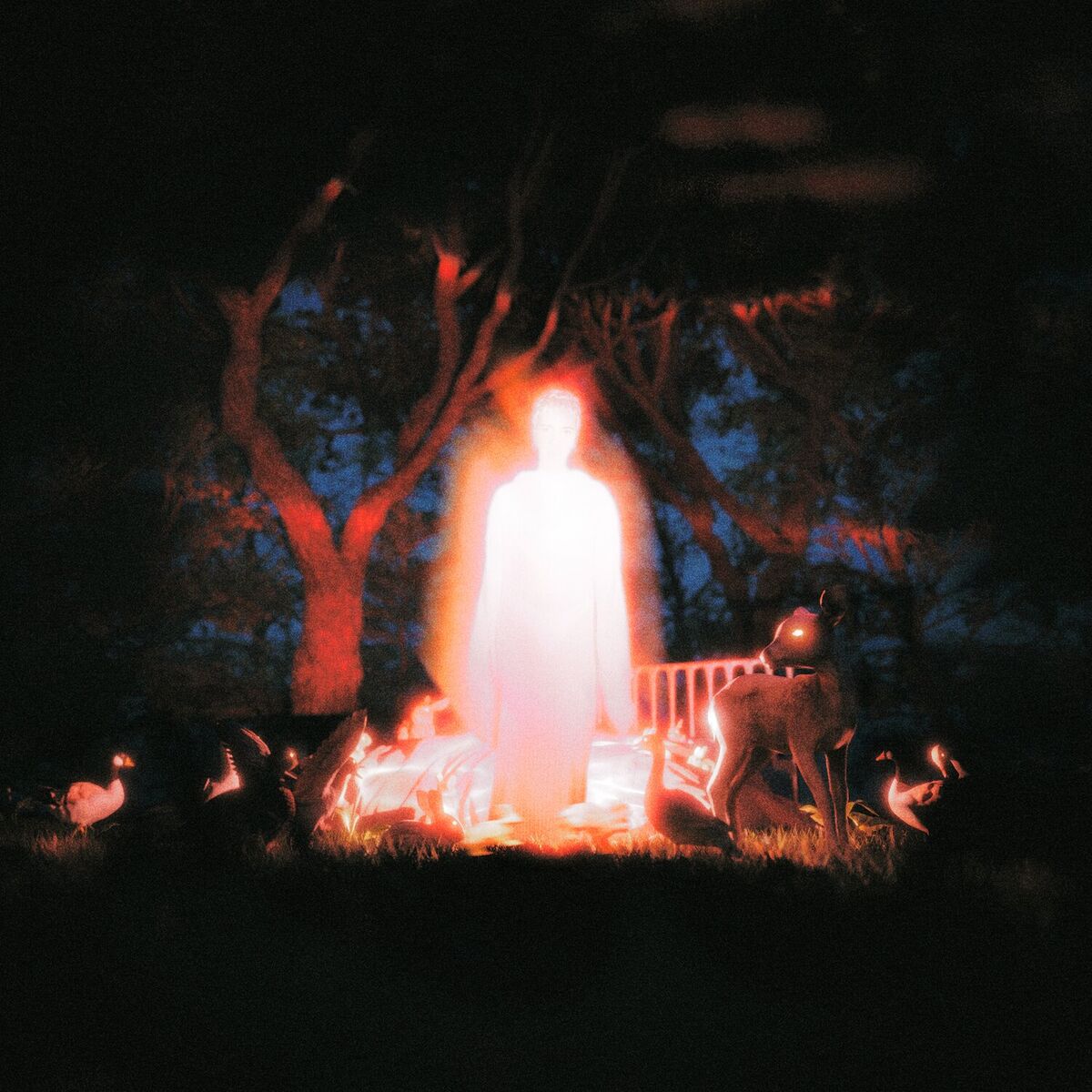 Album cover of N'apsam Olmaz