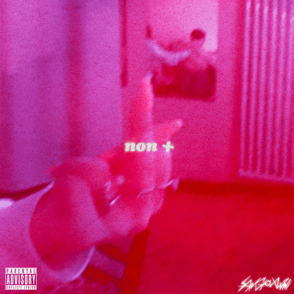 Album cover of non +