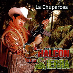 music cover