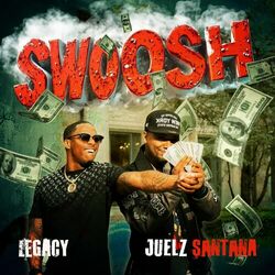 Cover of Swoosh