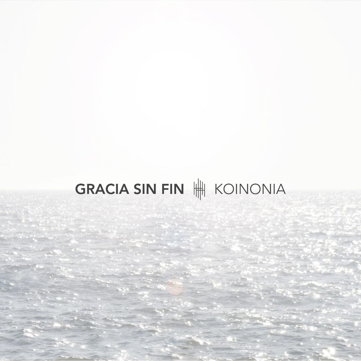 Album cover of Gracia Sin Fin (feat. Evan Craft)