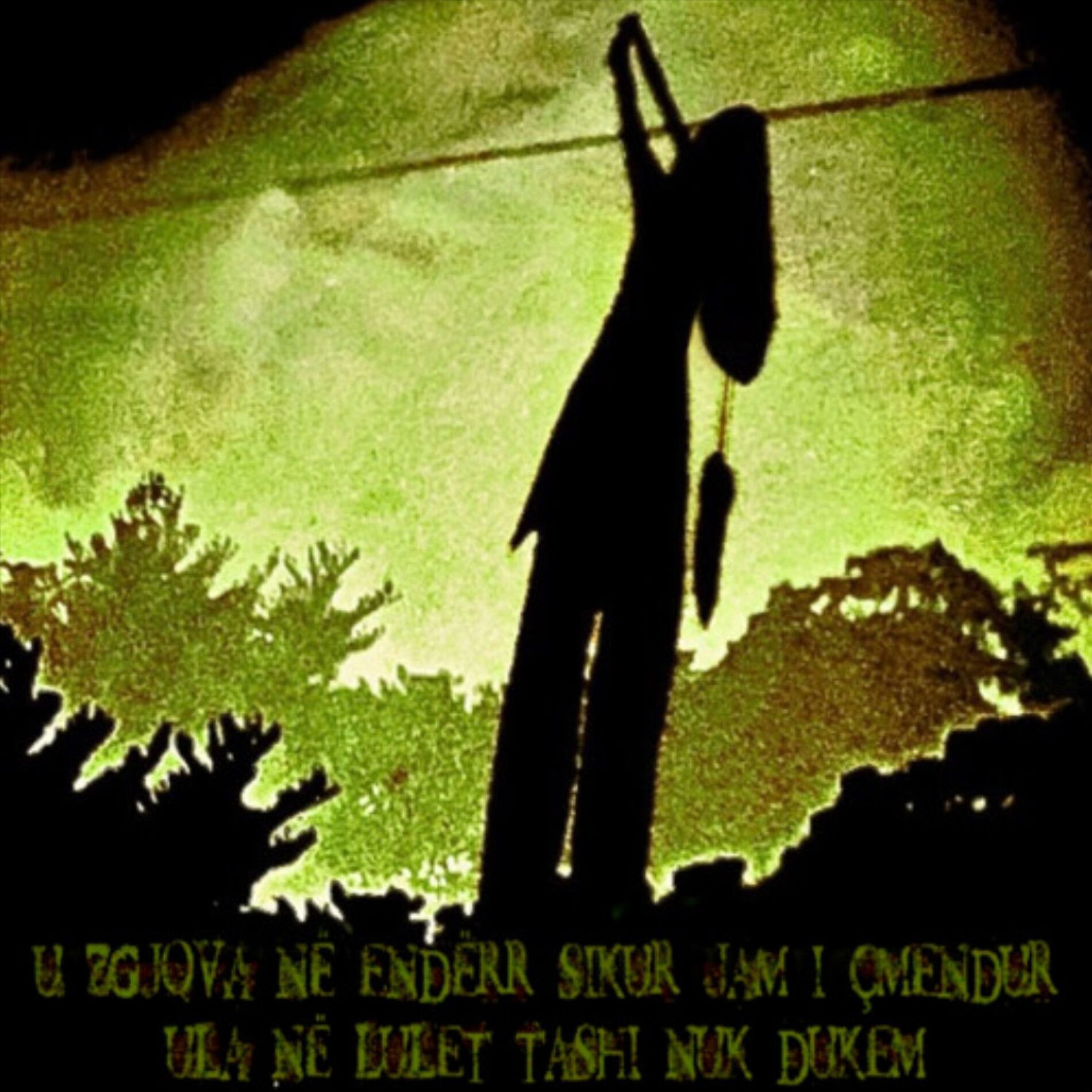 Album cover of çmendur_v666
