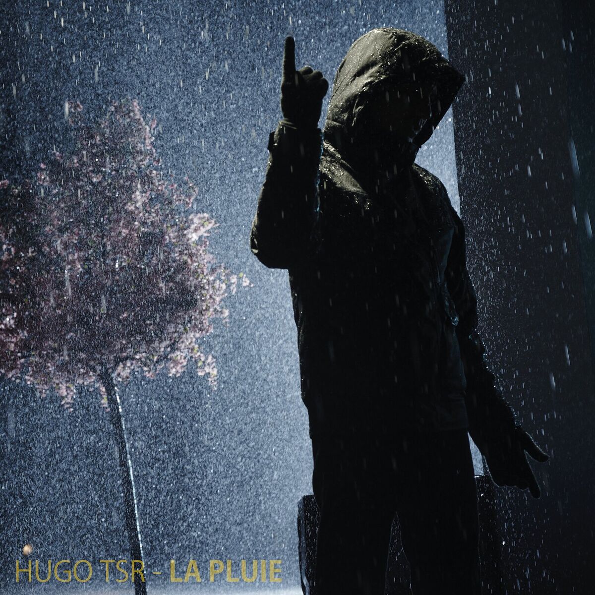 Album cover of La Pluie