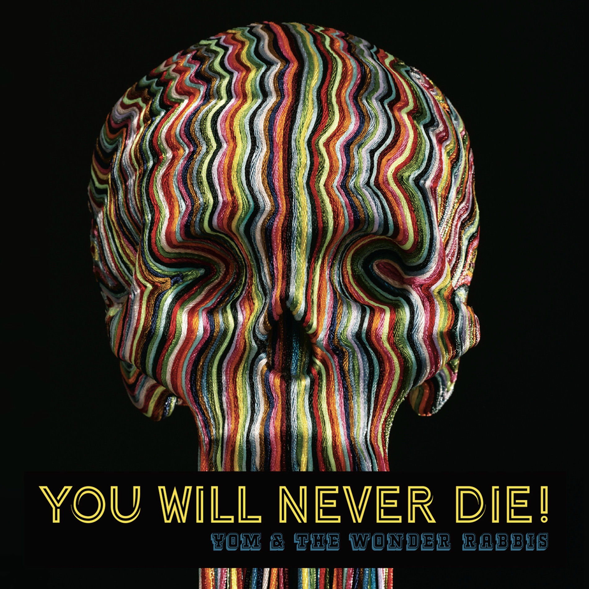 Album cover of You Will Never Die!