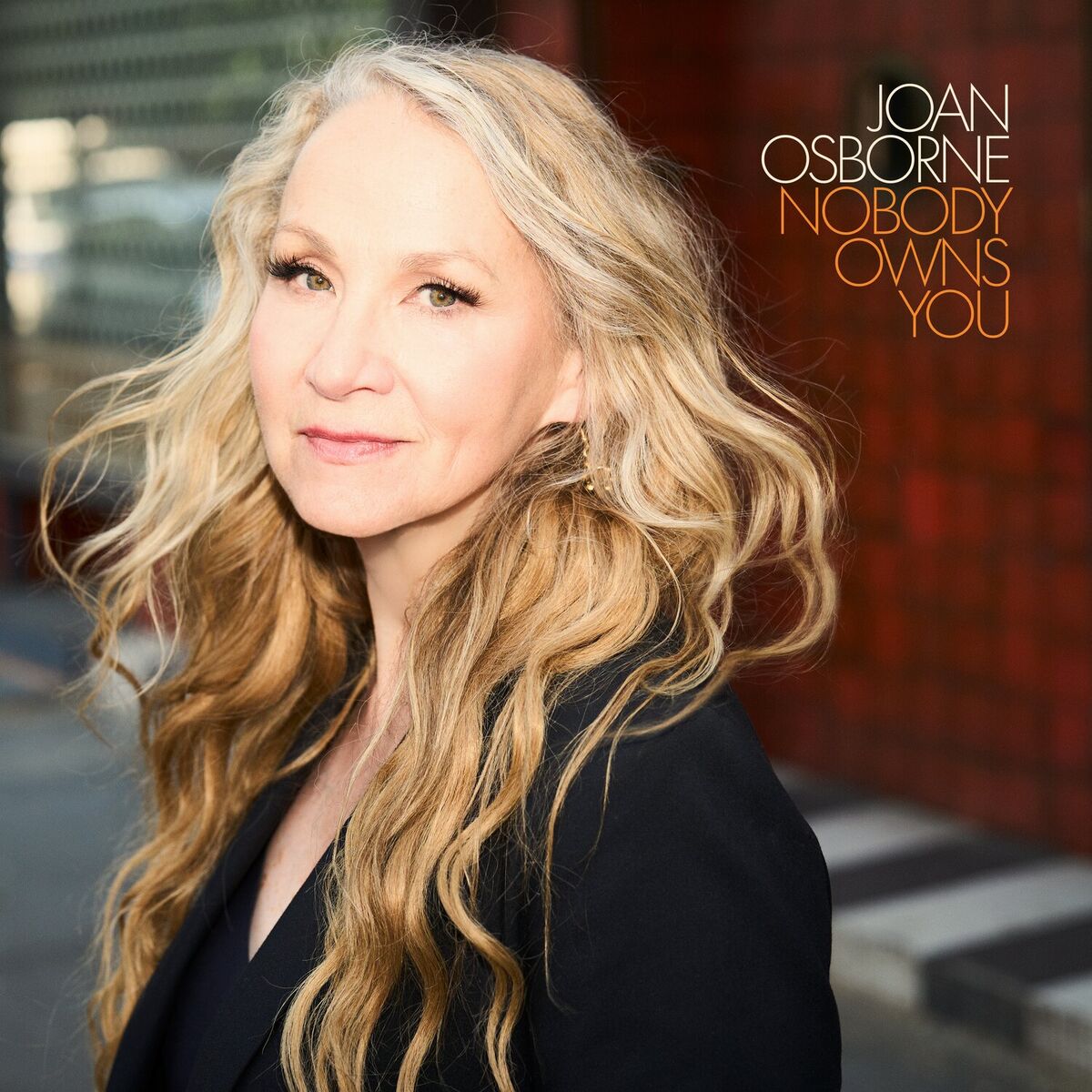 Album cover of Nobody Owns You