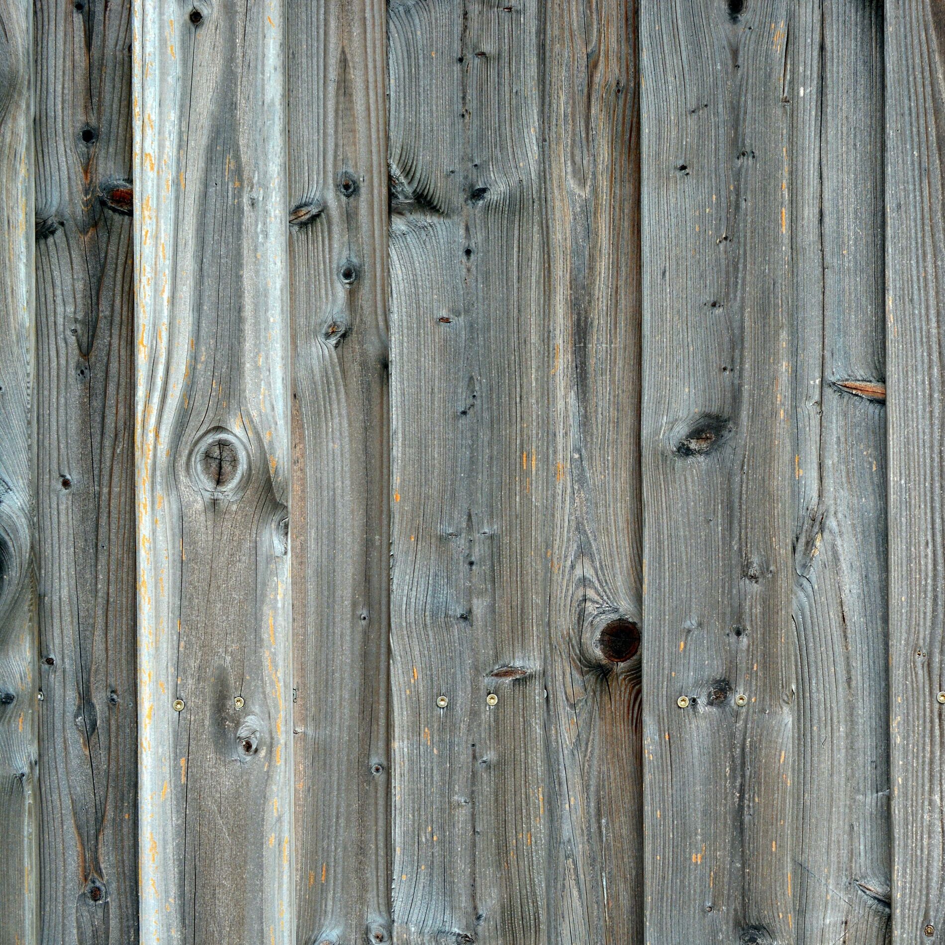 Album cover of Bright Use