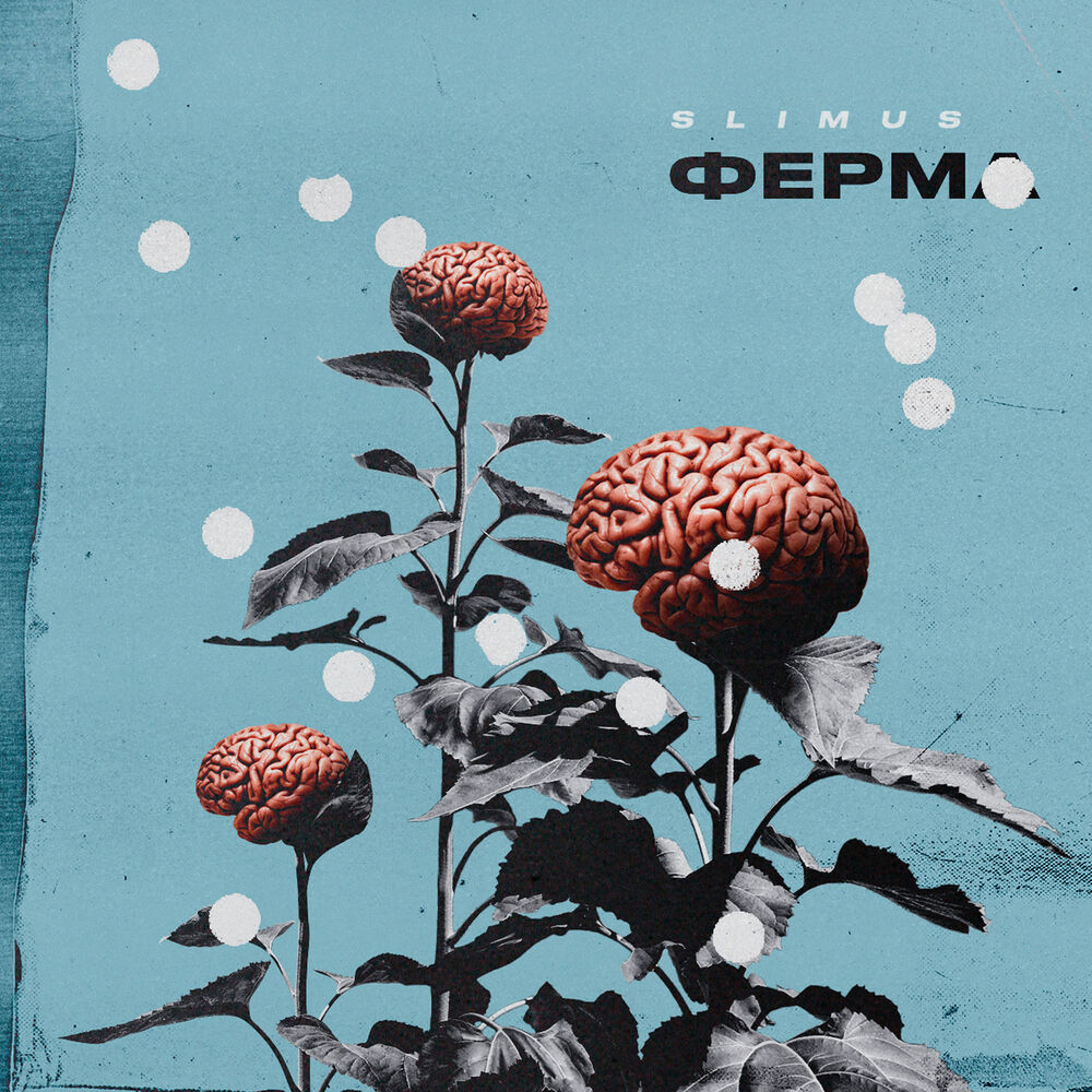 Picture of Ферма (Mixtape)