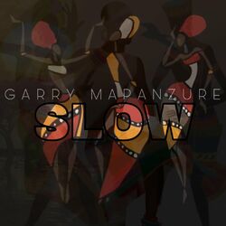 Cover of Slow