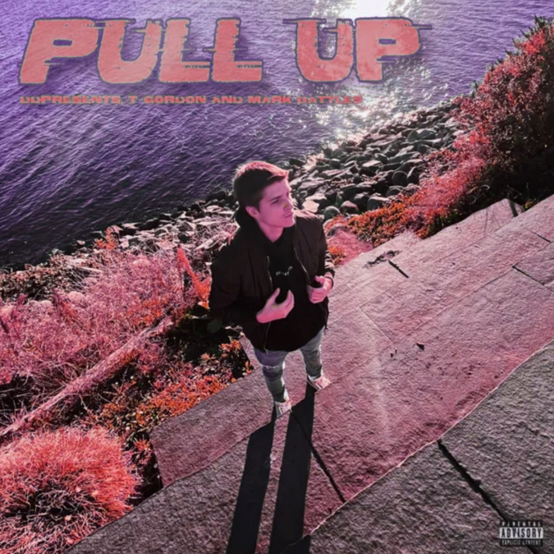 Album cover of PULL UP (Slowed)