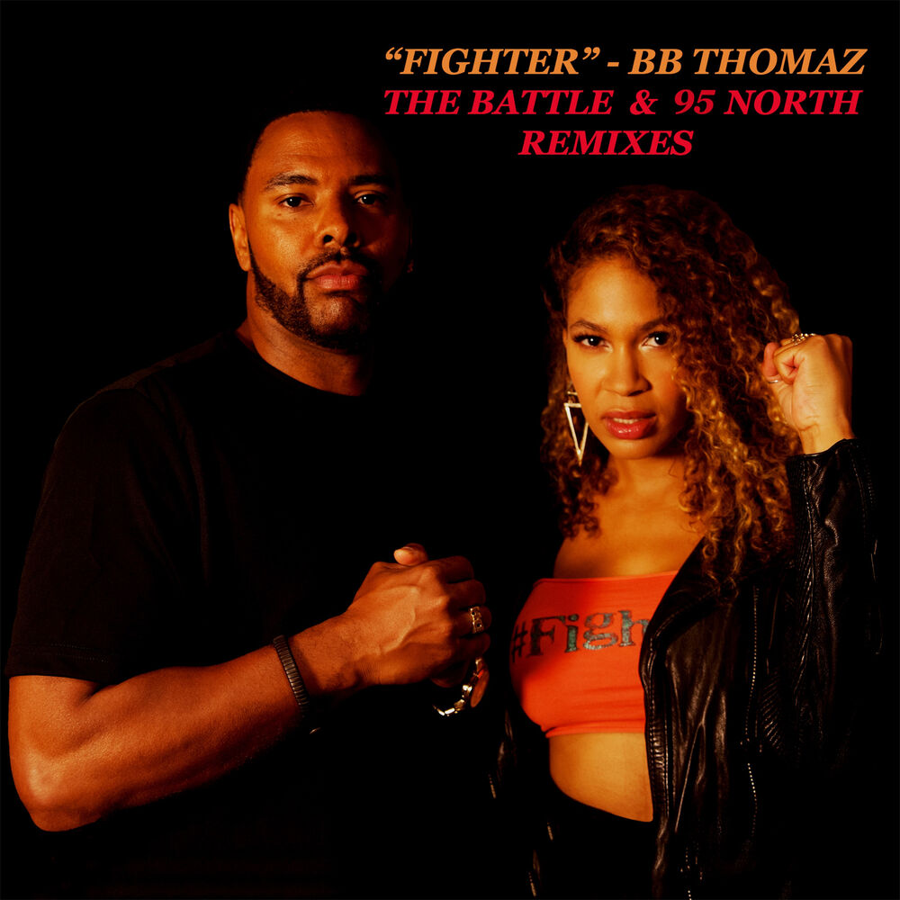 Picture of Fighter