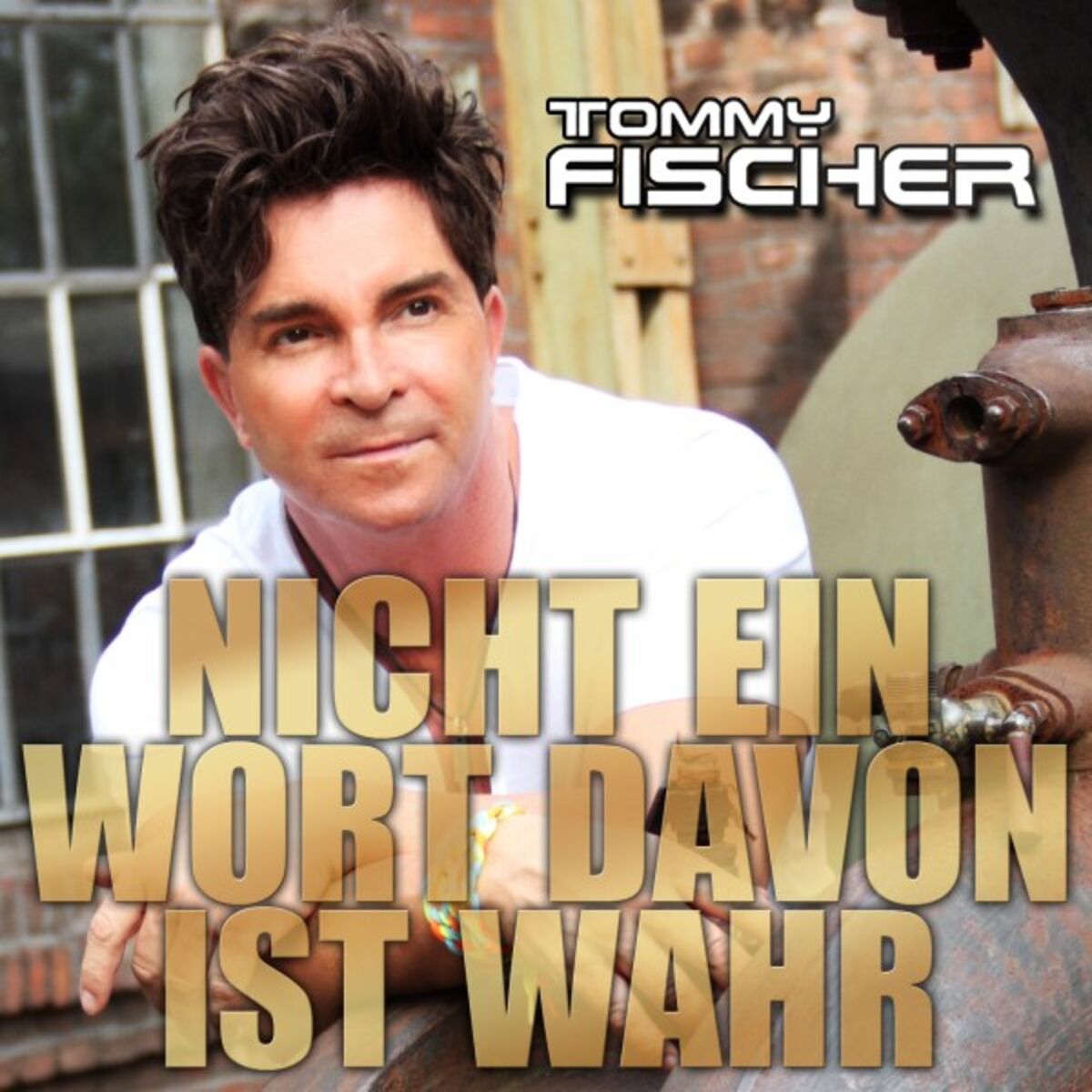 Album cover of Nicht ein Wort davon ist wahr