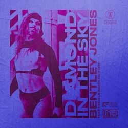 Cover of Diamond in the Sky