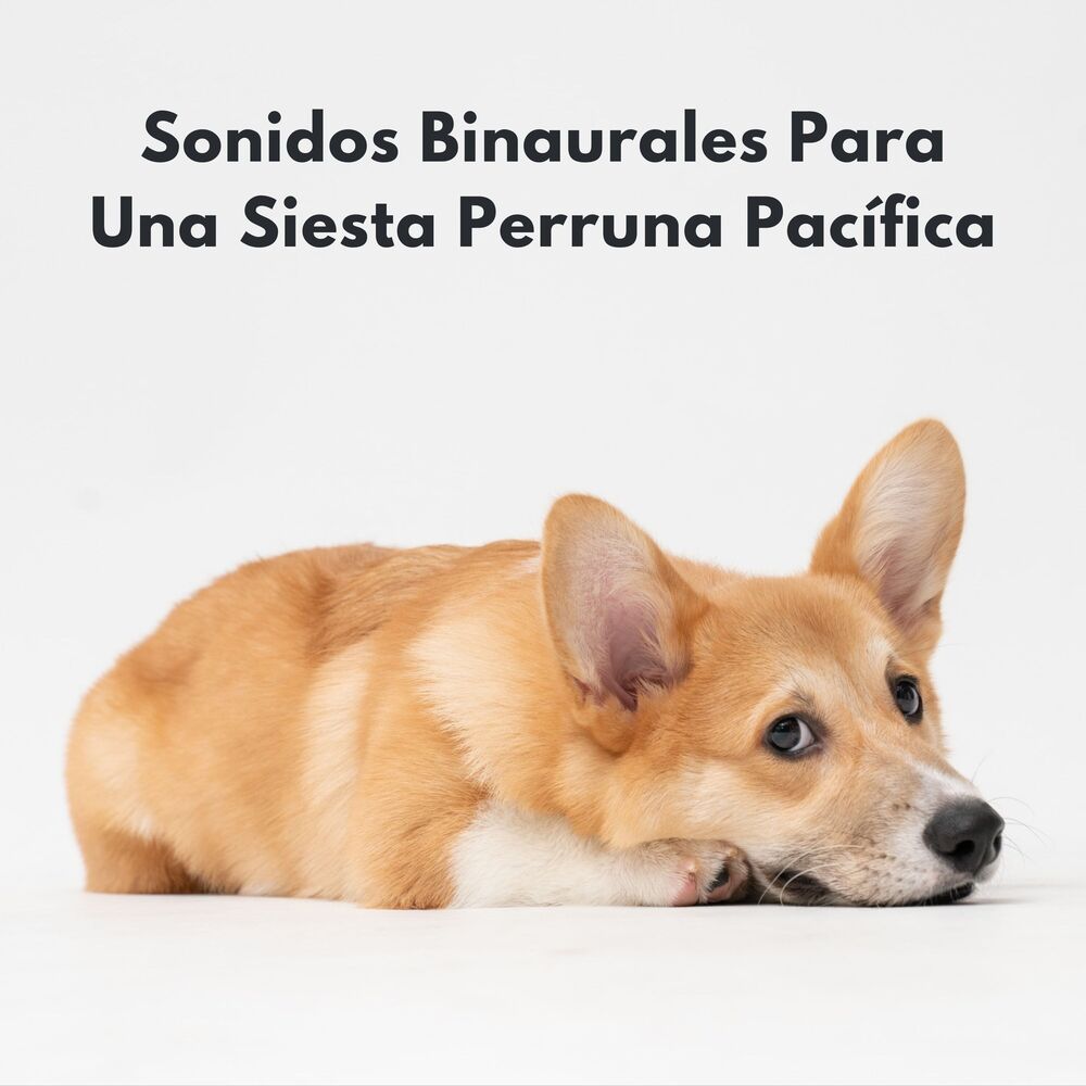 Picture of Sonidos Binaurales Para Una Siesta Perruna Pacífica