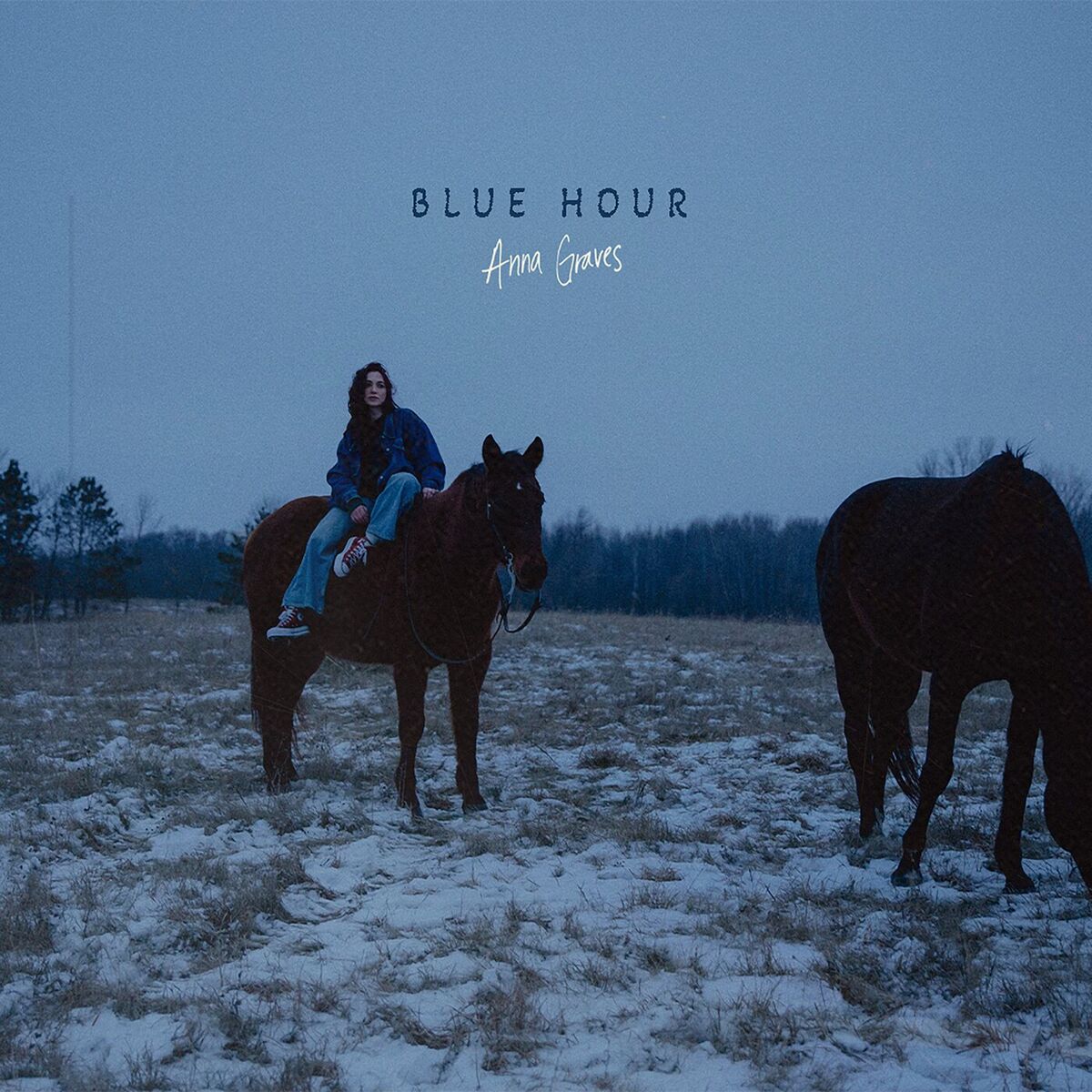 Album cover of Blue Hour