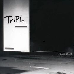 Cover of Triple