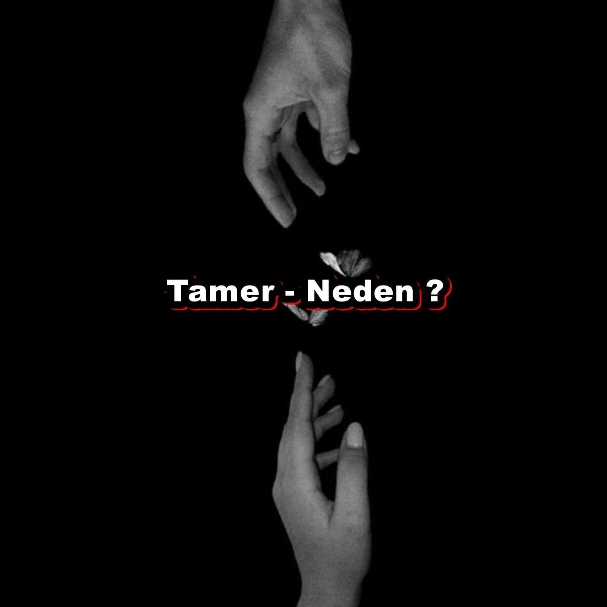 Album cover of Neden