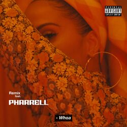 Cover of Whoa (Remix)
