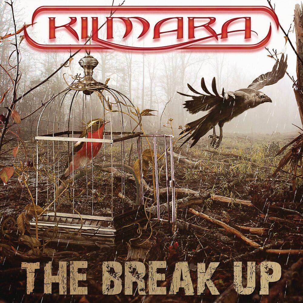 Picture of The Break Up