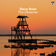 The Observer (Extended Mix) by Steve Brian album cover