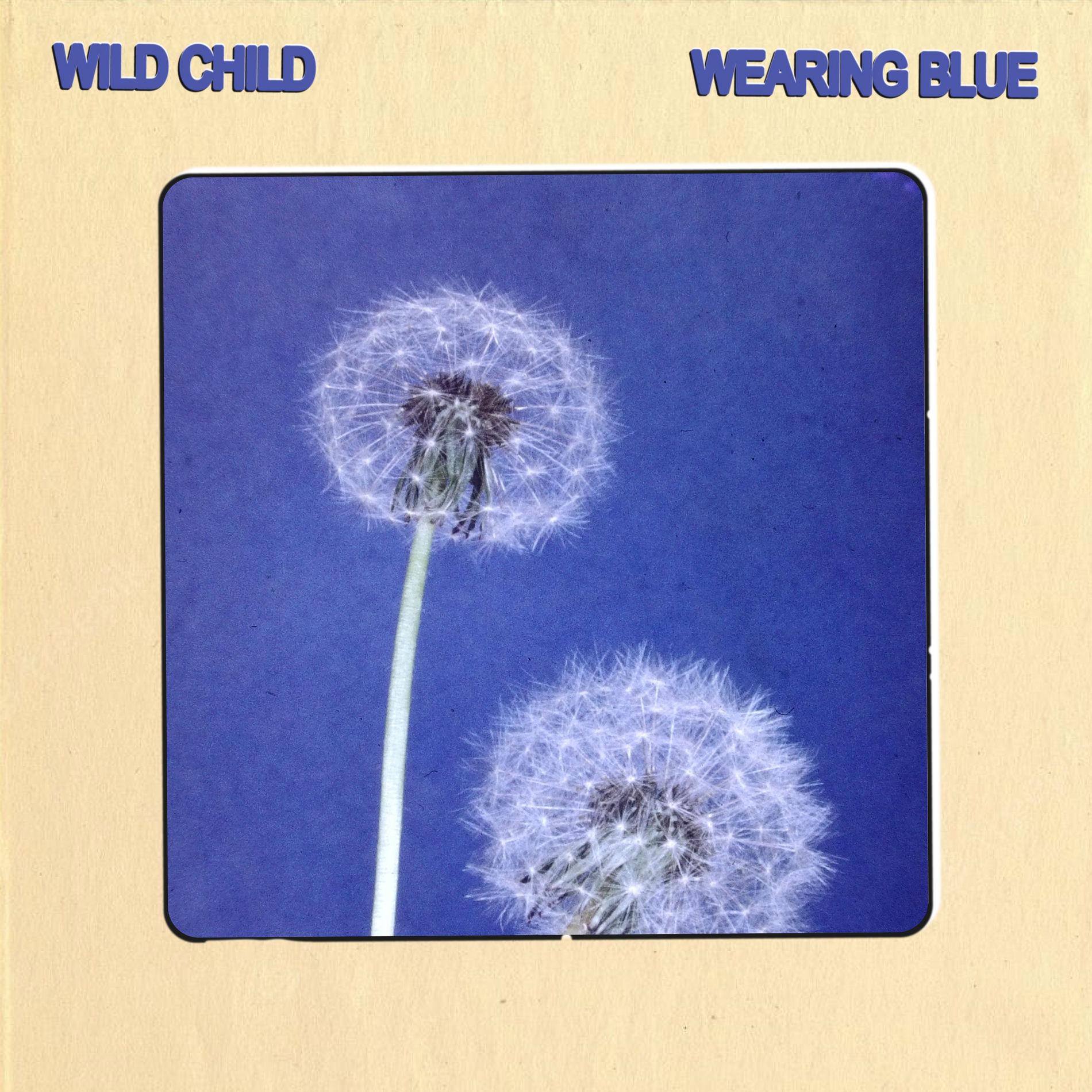Album cover of Wearing Blue