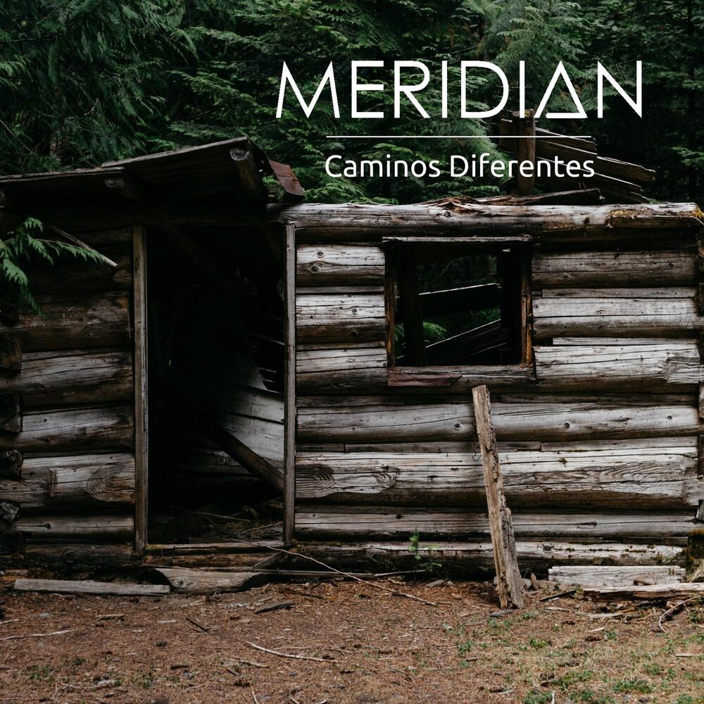 Picture of Caminos Diferentes