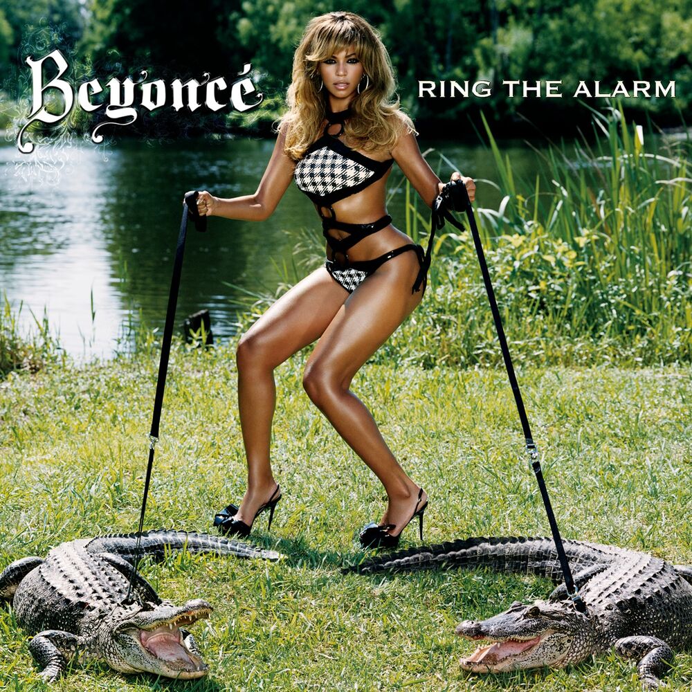 Picture of Ring The Alarm
