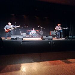 Cover of DENTRO DEL RUIDO