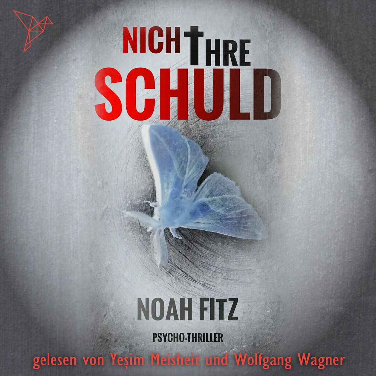 Album cover of Kapitel 1 - Nicht ihre Schuld - Johannes-Hornoff-Thriller, Band 1