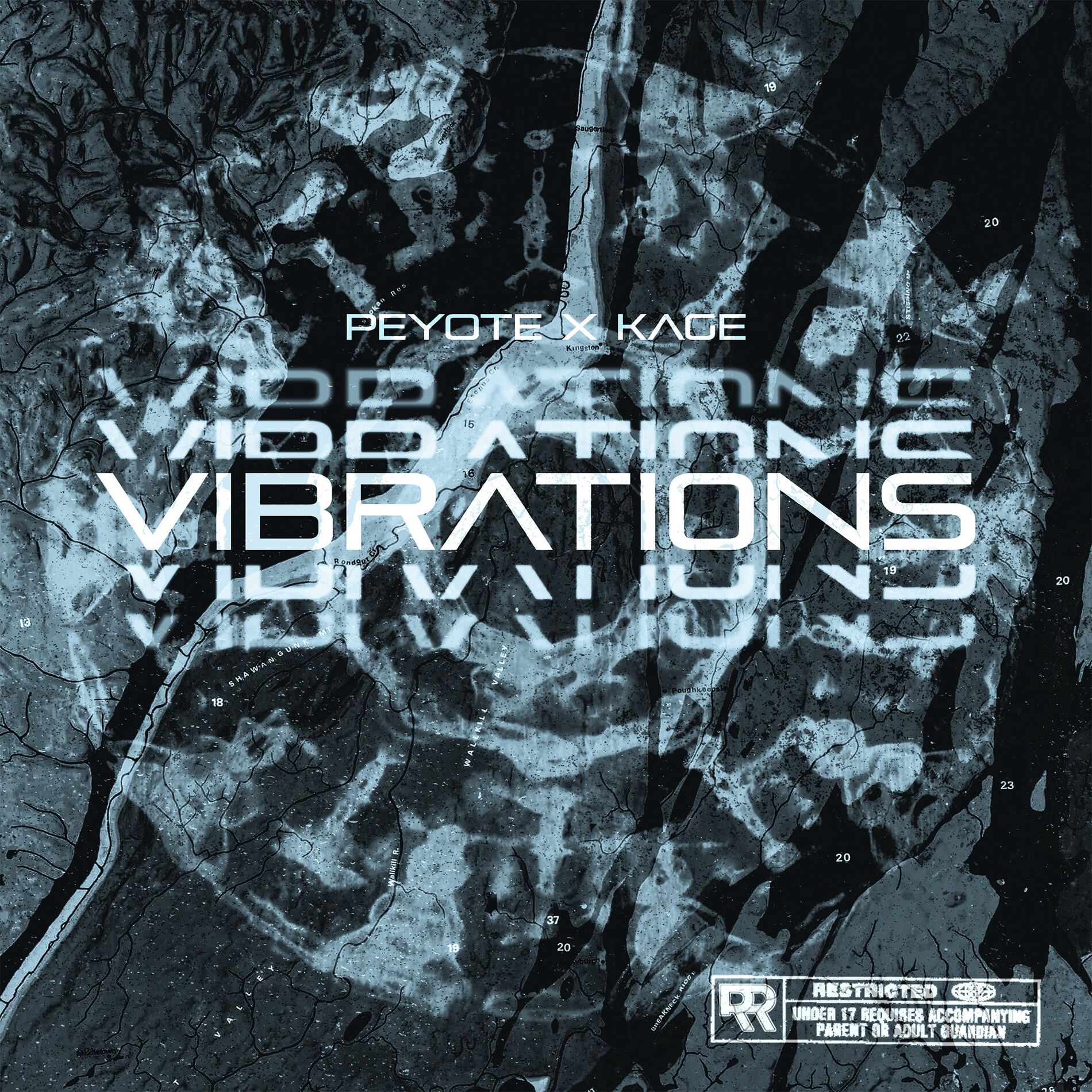 Album cover of Vibrations