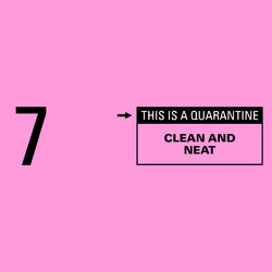 Cover of Clean and Neat (This Is a Quarantine)