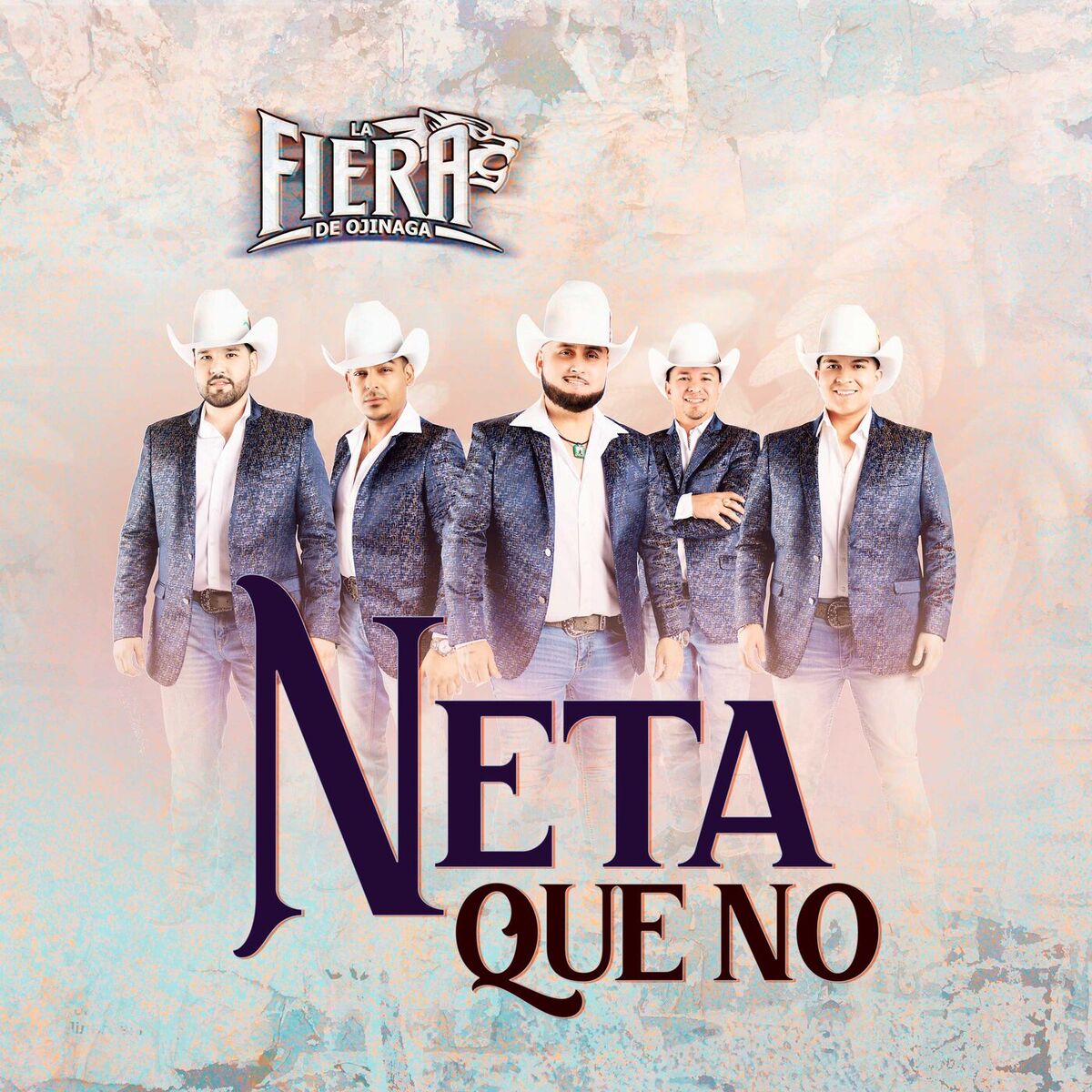 Album cover of Neta Que No