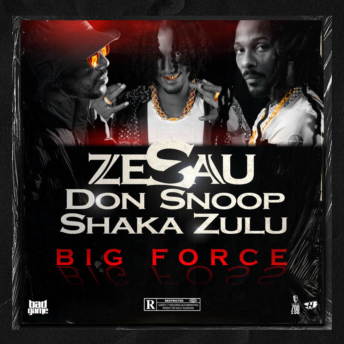 Album cover of Big Force