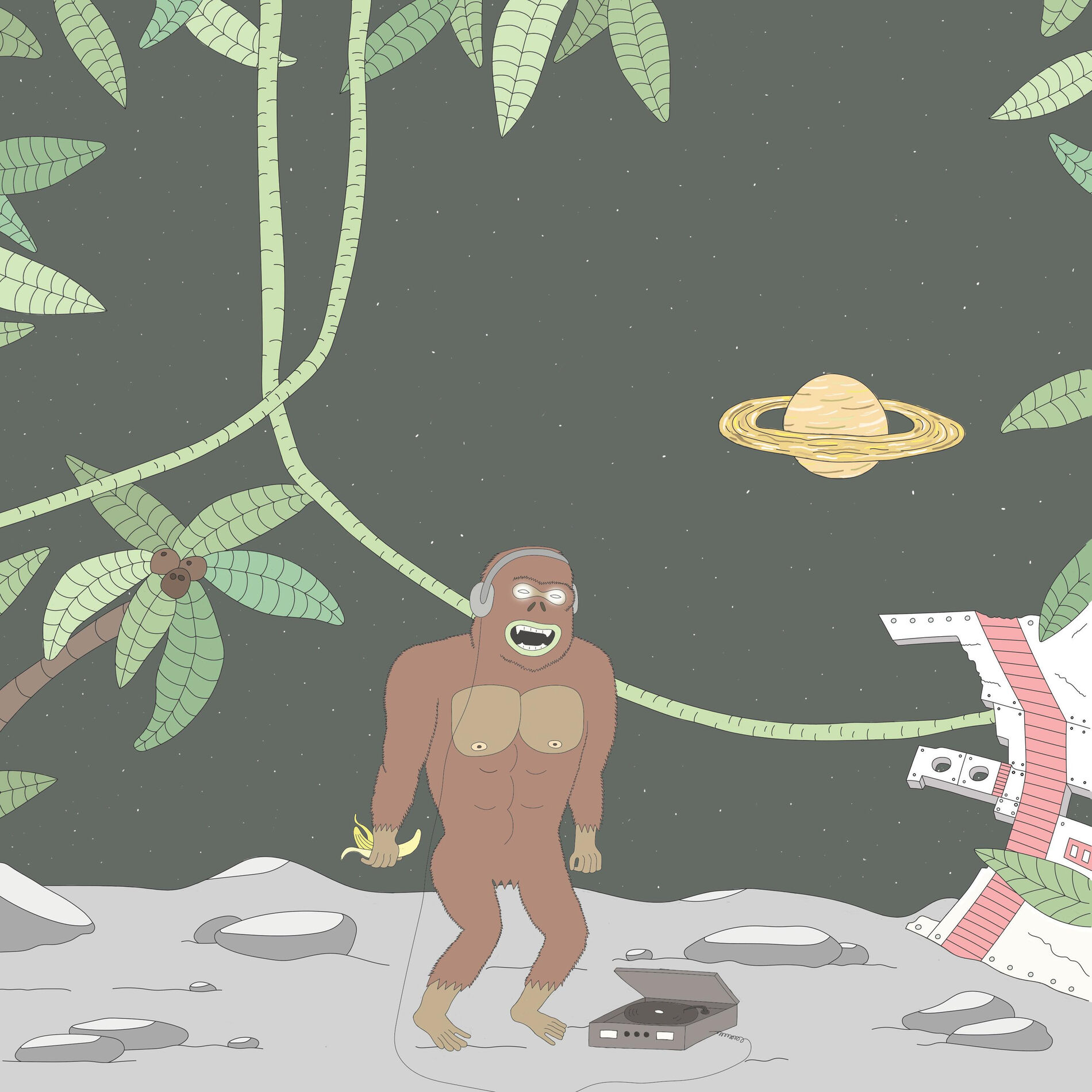Album cover of Amazonia Space