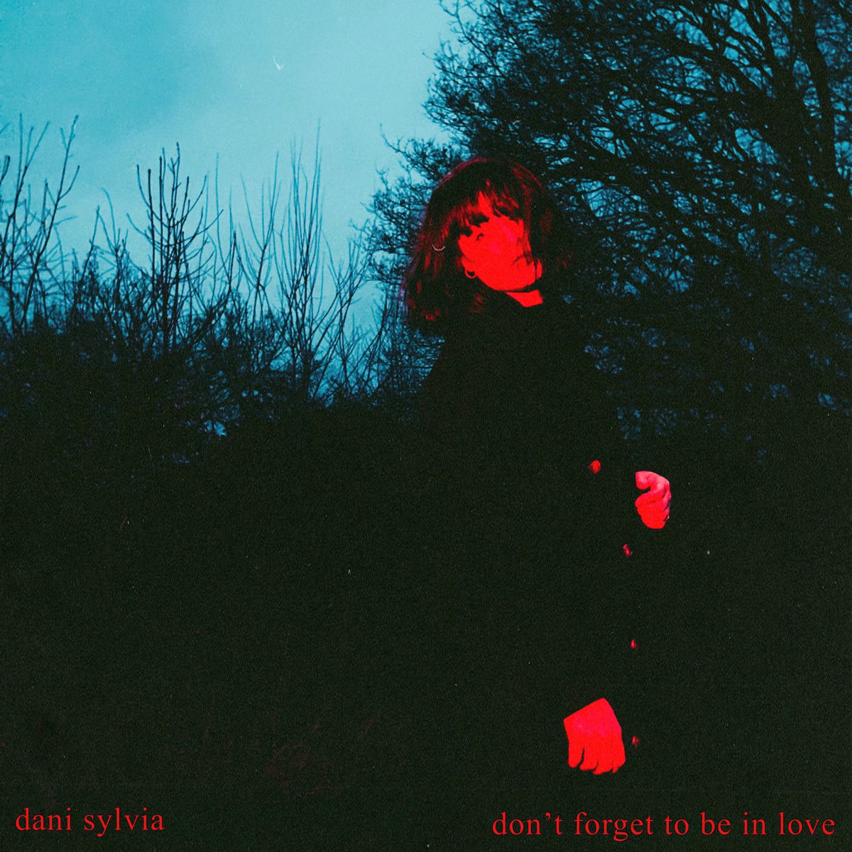 Album cover of don't forget to be in love