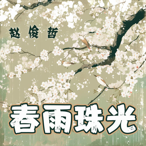 春雨珠光