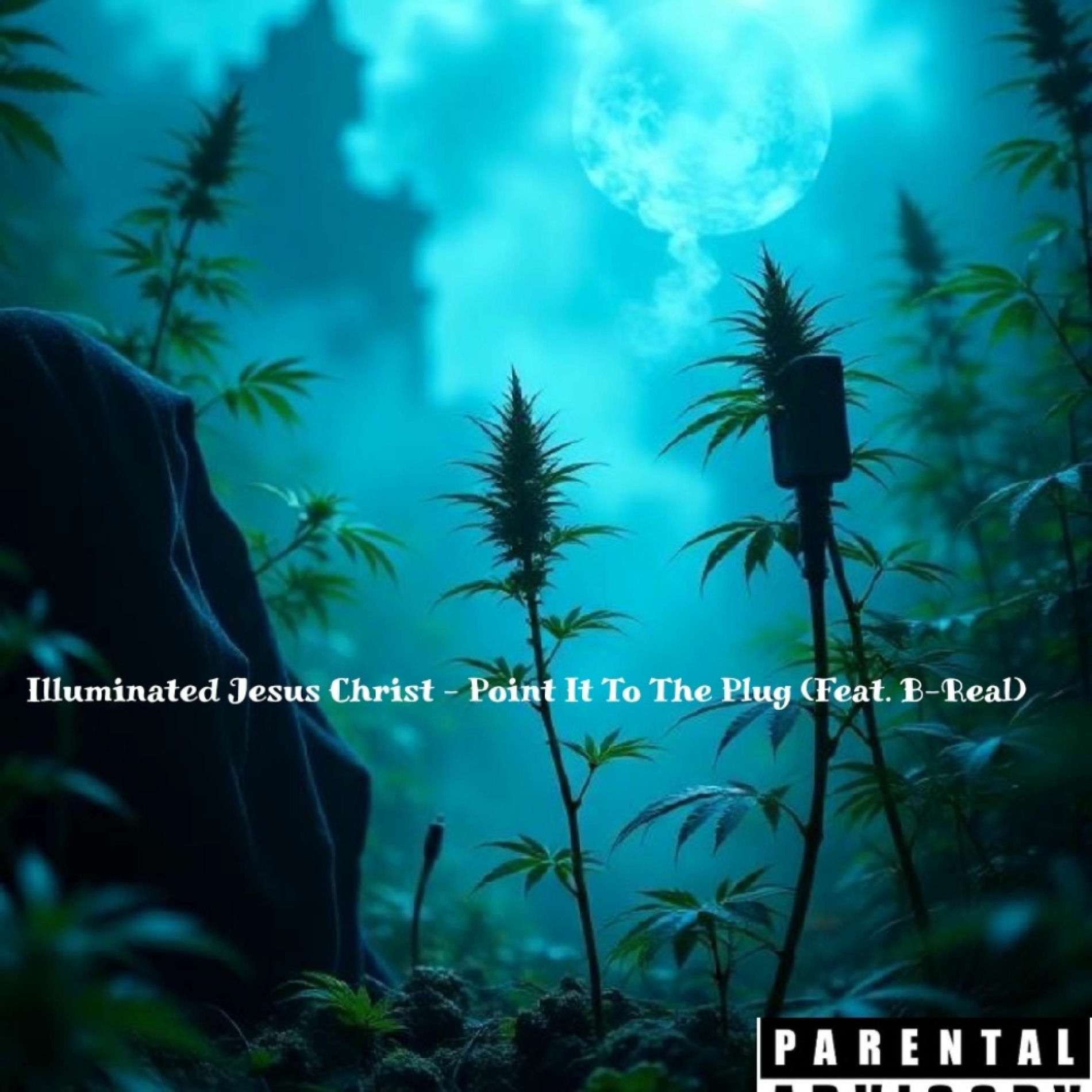 Album cover of Point It To The Plug (feat. B-Real)