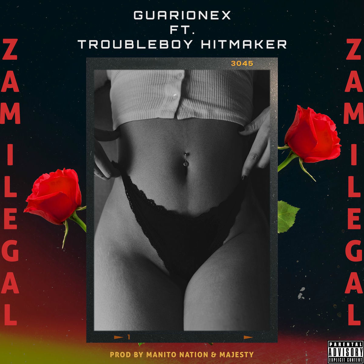 Album cover of Zam Ilegal