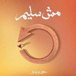 Cover of Mesh Saleem