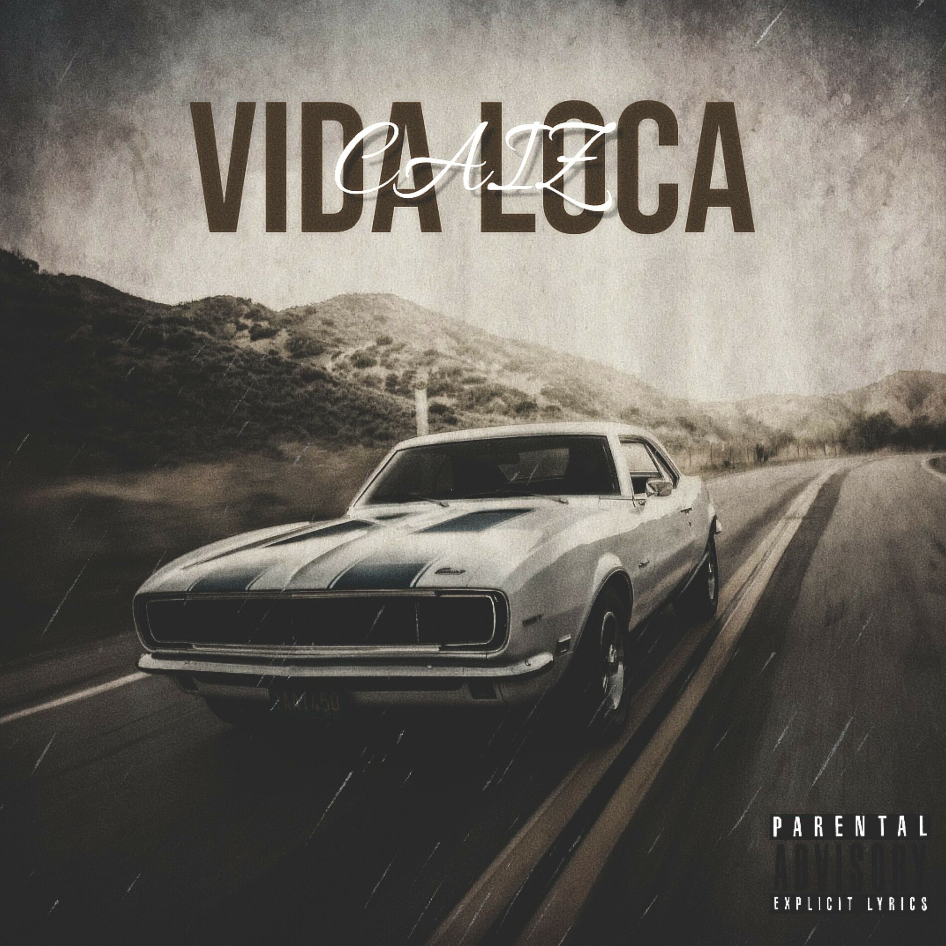 Album cover of Vida Loca
