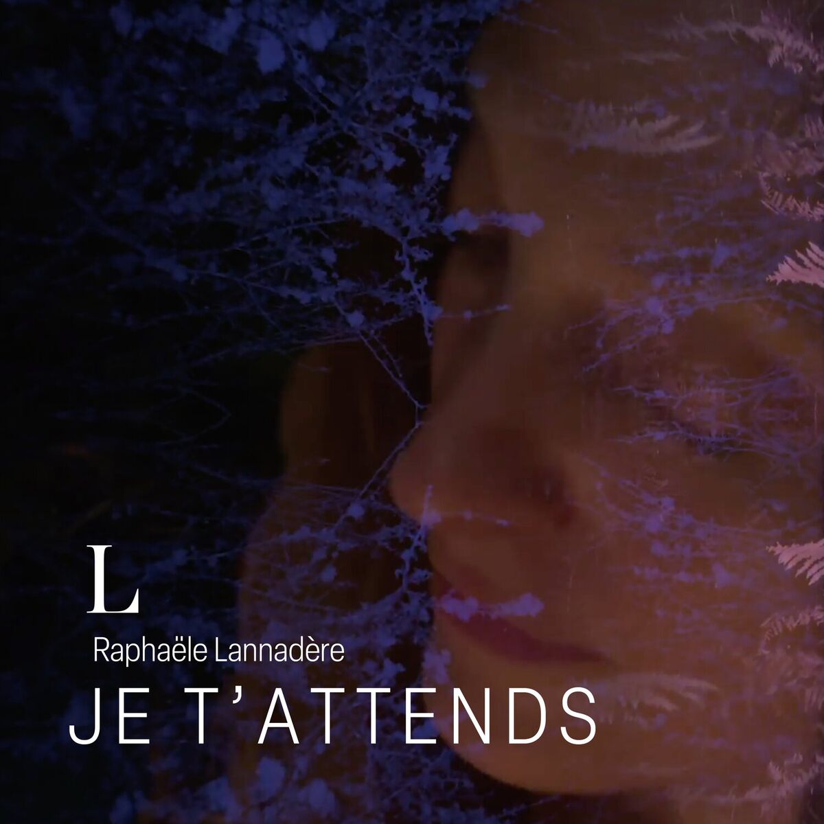 Album cover of Je t'attends