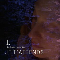 Cover of Je t'attends