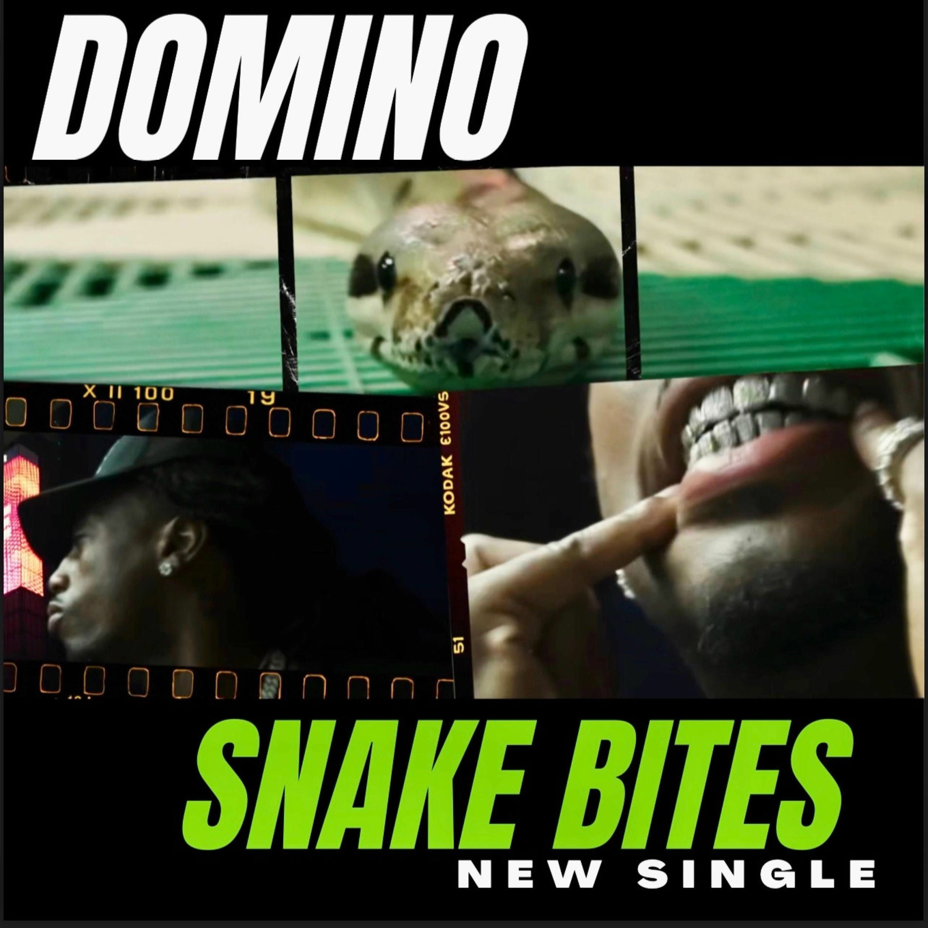 Album cover of Snake Bites