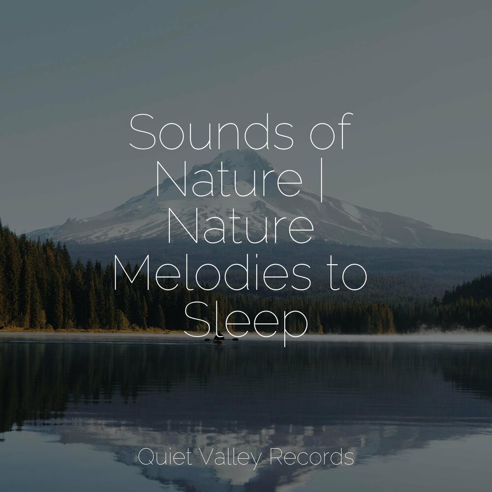 Picture of Sounds of Nature | Nature Melodies to Sleep