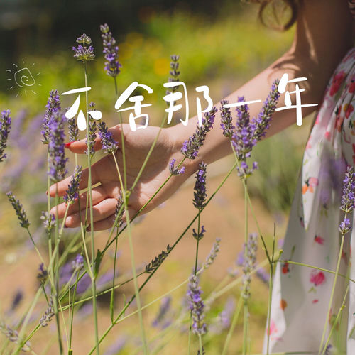 不舍那一年