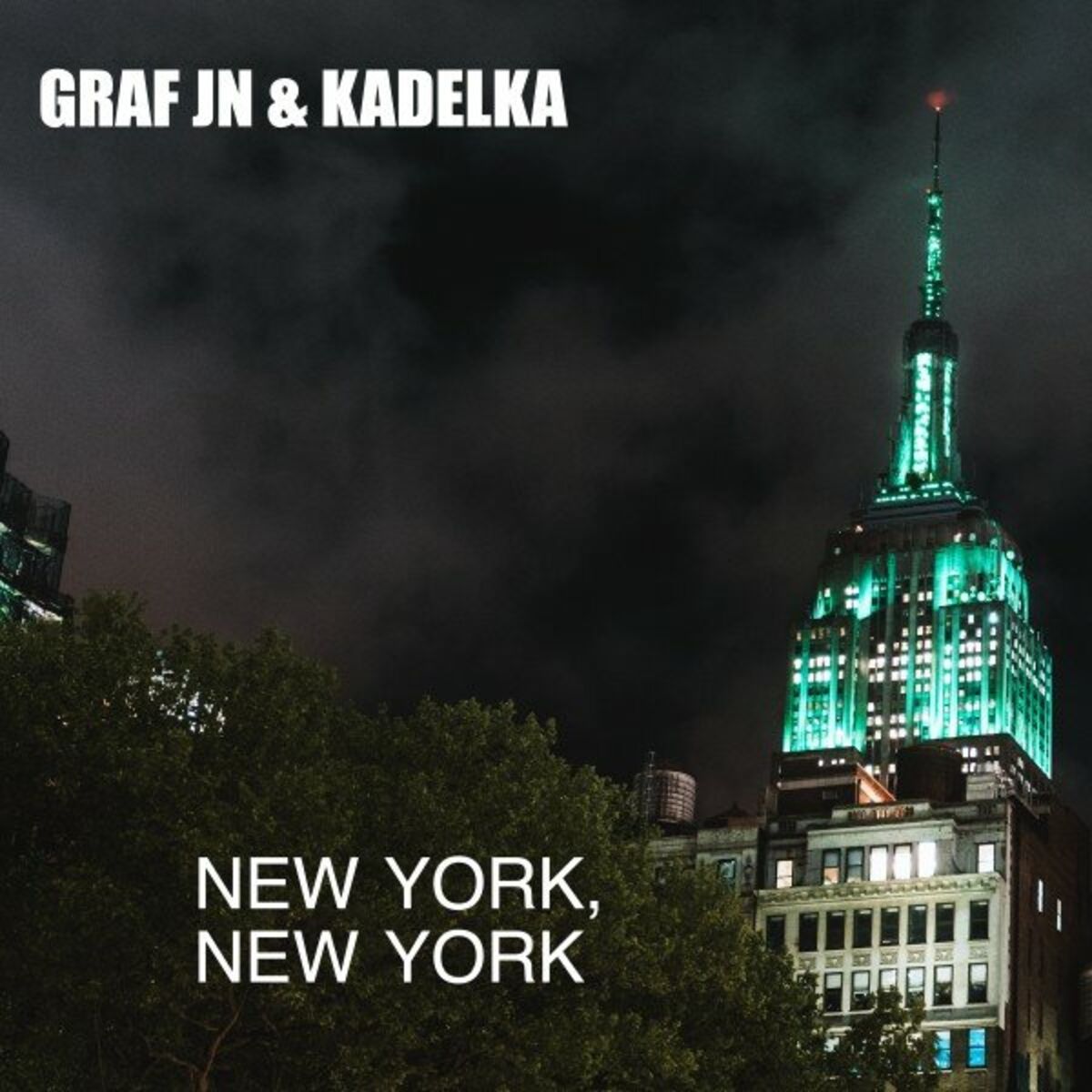 Album cover of New York, New York
